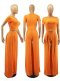Casual Solid Color Short Sleeve Wide Leg Pants Two Piece Sets FOSF-8059