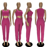 Solid Sleeveless Crop Top And Pants 2 Piece Sets LDS-3262