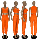 Solid Sleeveless Crop Top And Pants 2 Piece Sets LDS-3262