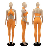 Sexy Solid Halter Backless Two Piece Pant Set DDF-8076