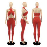 Sexy Solid Halter Backless Two Piece Pant Set DDF-8076