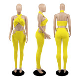Sexy Solid Halter Backless Two Piece Pant Set DDF-8076