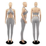 Sexy Solid Halter Backless Two Piece Pant Set DDF-8076