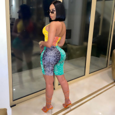 Sexy Printed Halter Backless Romper WSM-5233
