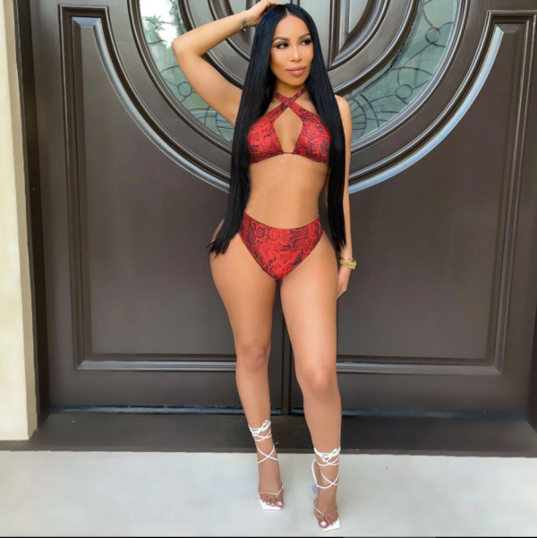 Sexy Snake Skin Print 2PCS Bikinis Set MDF-5226
