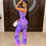 Sexy Print Mesh Tube Top Jumpsuits BN-9270