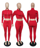 Solid Long Sleeve Zipper Two Piece Pants Set YIM-150