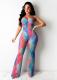 Fashion Sexy Mesh Print Bodysuit And Pants Two Piece Sets ORY-5187