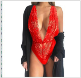 Black Perspective Lace Bodysuit Teddy Lingerie YQ-228