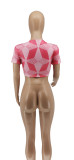 Sexy Printed V Neck Tie Up Short Sleeve Crop Top WSYF-5826