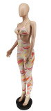 Sexy Printed Backless Halter Jumpsuits WSYF-5838