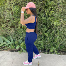 Plus Size Solid Sports Tank Top And Pants 2 Piece Suits YIM-182