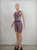 Sexy Mesh Hollow Out Sleeveless Romper YD-8380