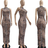 Sexy Mesh Printed See Through Maxi Dress JPF-1035