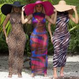 Sexy Mesh Printed See Through Maxi Dress JPF-1035