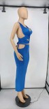 Sexy Solid Backless Long Skirt 2 Piece Sets GLF-7015