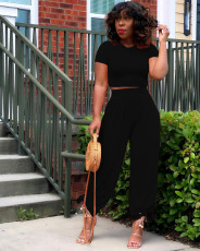 Solid Color Plus Size Casual Short Sleeve And Pants Two Piece Sets BLX-8214