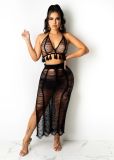 Sexy Knitted Tassel Hollow Out Two Piece Skirt Set TR-1151
