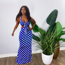 Polka Dot Print Strap Crop Top Maxi Skirt 2 Piece Sets OMY-0025