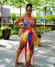 Sexy Tie Dye Halter High Split Pants 2 Piece Sets LUO-3163