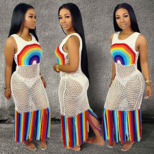 Plus Size Fashion Sexy Print See Through Beach Dress YS-8355