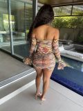 Sexy Off Shoulder Mesh Print Mini Dress YS-8806