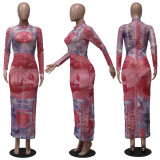 Sexy Mesh Dollar Print Long Sleeve Maxi Dresse YS-8702