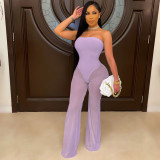 Fashion Sexy Solid Color Tube Top Mesh Jumpsuit YS-8804