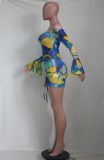 Sexy Off Shoulder Mesh Print Mini Dress YS-8806