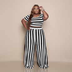 Plus Size Casual Striped Two Piece Pants Set BDF-8081