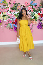 Fashion Sexy Solid Color Sling Midi Dress AIL-161