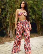 Fashion Sexy Print Wrapped Chest And Pants Two Piece Sets LSL-6150