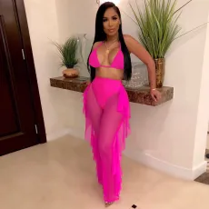 Sexy Solid Color Mesh Pants Suit TE-4250