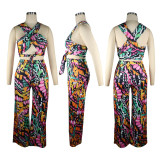Fashion Printed Top Wide-Leg Pants Two Piece Sets TE-4253