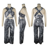 Fashion Printed Top Wide-Leg Pants Two Piece Sets TE-4253