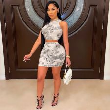 Snake Skin Print Sleeveless Mini Skirt 2 Piece Sets JH-261