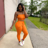 Solid Tube Top And Pants Two Piece Suits NIK-249