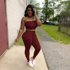 Solid Tube Top And Pants Two Piece Suits NIK-249