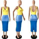 Contrast Color V Neck Sleeveless Backless Long Dress YNSF-16803