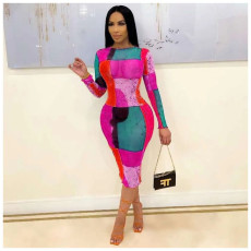 Sexy Mesh Printed Long Sleeve Midi Dress ORY-5197
