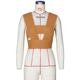 Fashion Sexy Sweater Vest Universal In All Seasons ZSD-0103
