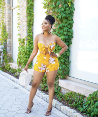 Floral Print Tube Top And Shorts 2 Piece Sets BS-1277