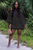 Sexy Solid Slash Neck Long Sleeve Loose Mini Dress LDS-3286