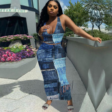 Sexy Printed Tank Top Long Skirt 2 Piece Sets BDF-8088