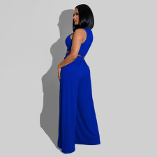 Solid Sleeveless Crop Top Wide Leg Pants 2 Piece Sets SFY-2123