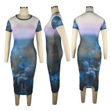 Sexy Printed Mesh See Through Long Club Dress TE-4308