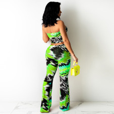 Sexy Printed Tube Top And Pants Two Piece Sets TE-4307
