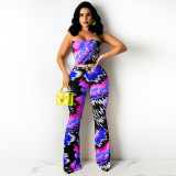 Sexy Printed Tube Top And Pants Two Piece Sets TE-4307
