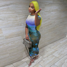 Sexy Printed Mesh See Through Long Club Dress TE-4308