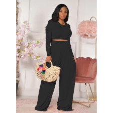 Plus Size Casual Solid Long Sleeve Two Piece Pants Set FOSF-8092